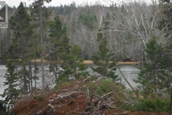 Lot # 4 Tyler Lane, Murray River, PE C0A1W0 Photo 5