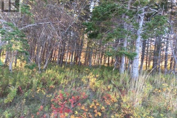 Lot 0 & 3 Kempt Head Road, Southside Boularderie, NS B1Y2P8 Photo 5