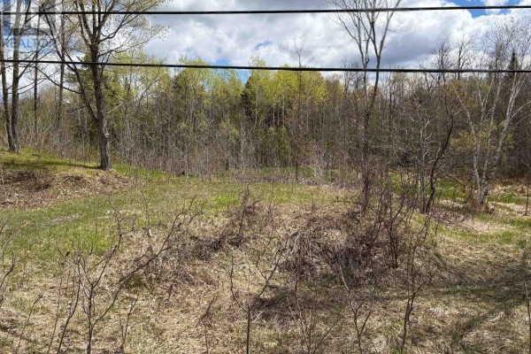 View of snow-covered ground with small trees and exposed rocks - Lot 0 County Road 38, Frontenac