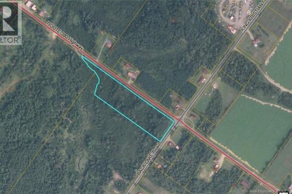 Aerial view showing the property outlined in blue, with surrounding homes and dense forest. - Lot 0 Route 380, Blue Bell Corner