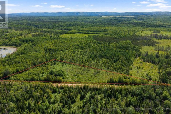 Lot 00 Palmer Road, Wentworth Valley Preserve, Wentworth Valley, NS B0M1Z0 Photo 2