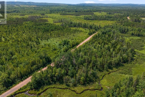 Lot 00 Palmer Road, Wentworth Valley Preserve, Wentworth Valley, NS B0M1Z0 Photo 4