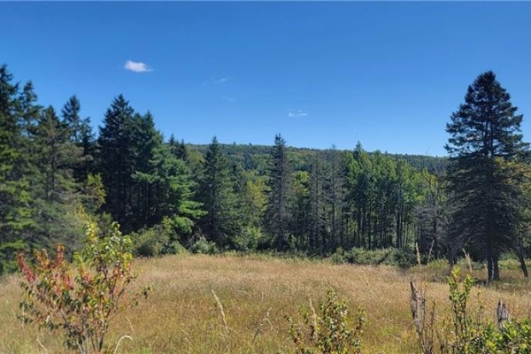 Lot 01-1 Route 121, Riverbank, NB E5T4Z5 Photo 2
