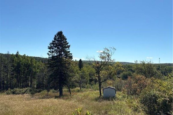 Lot 01-1 Route 121, Riverbank, NB E5T4Z5 Photo 3