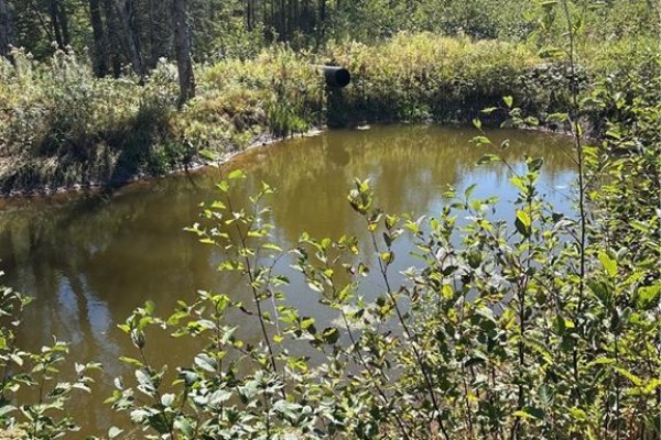 Lot 01-1 Route 121, Riverbank, NB E5T4Z5 Photo 4
