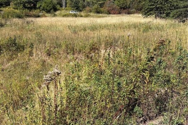 Lot 01-1 Route 121, Riverbank, NB E5T4Z5 Photo 5