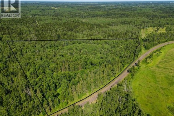 Lot 02-5 Renauds Mills Road, Saint Antoine, NB E4V2X7 Photo 4