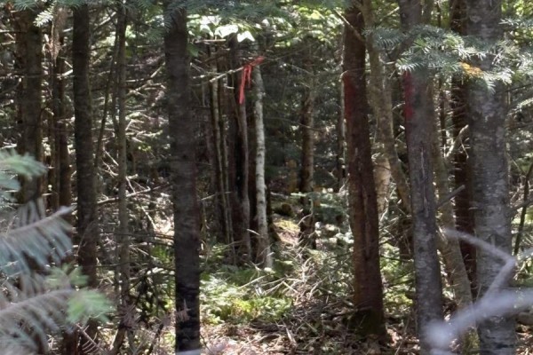 Lot 03-1 West Bay Road, West Bay, NS B0M1S0 Photo 4