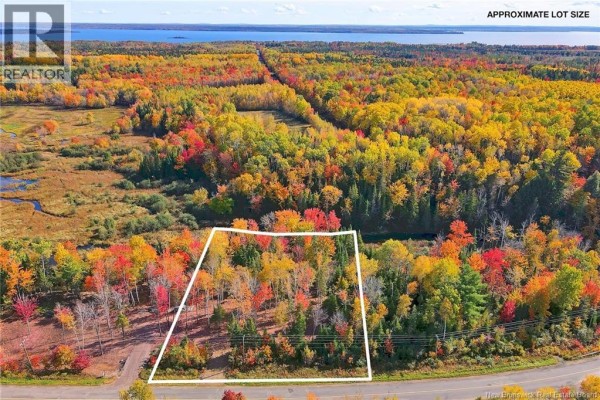 Lot 04-02 690 Route, Flowers Cove, NB O0O0O0 Photo 4
