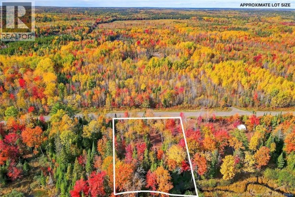 Lot 04-02 690 Route, Flowers Cove, NB O0O0O0 Photo 5