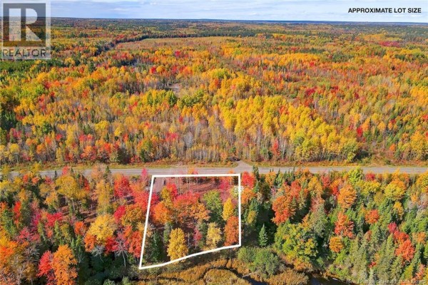 Lot 04-03 690 Route, Flowers Cove, NB O0O0O0 Photo 5