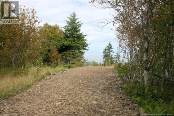Lot 04-08 Seven Days Work Drive, Grand Manan, NB E5G1B4 Photo 4