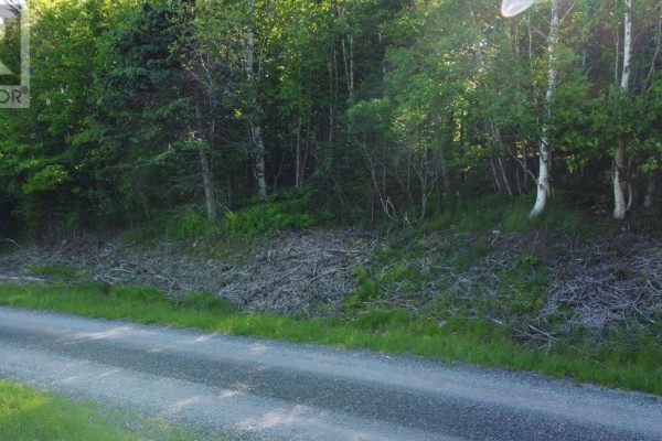 Lot 04-12 Nature Dream P Boulevard, Roberta, NS B0E3B0 Photo 3
