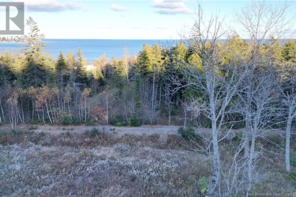 Lot 05-01 Wellington Drive, Grand Manan, NB E5G2M8 Photo 4