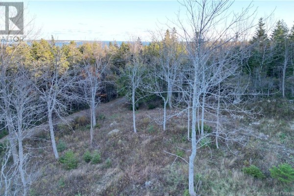 Lot 05-01 Wellington Drive, Grand Manan, NB E5G2M8 Photo 5