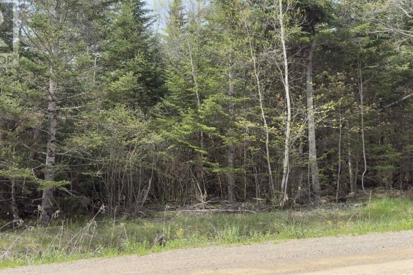 Lot 06 - A1-r Beech Hill Road, Princeport, NS B6L1B7 Photo 4