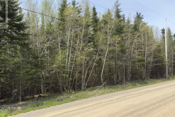 Lot 06 - A1-r Beech Hill Road, Princeport, NS B6L1B7 Photo 5