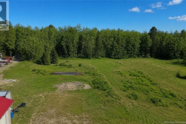 Snow-covered land with bare trees and a few evergreen trees against a backdrop of woodland. - Lot 06-1 Burnham Road, Florenceville Bristol