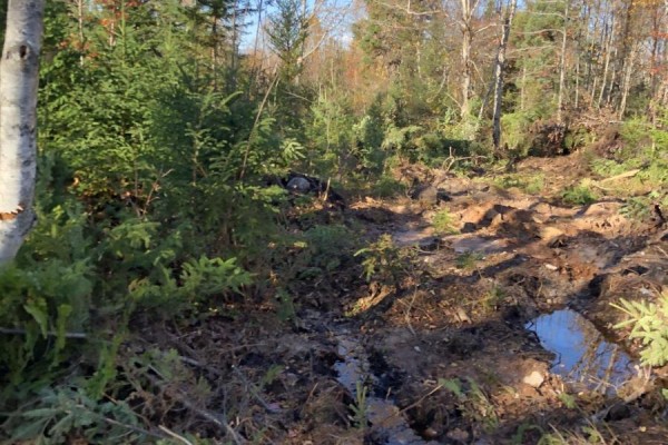 Lot 07-1 Highway 223, Big Beach, NS B1T1M2 Photo 2