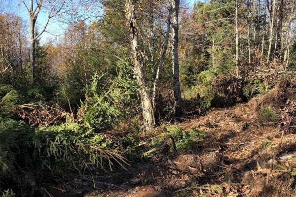 Lot 07-1 Highway 223, Big Beach, NS B1T1M2 Photo 3