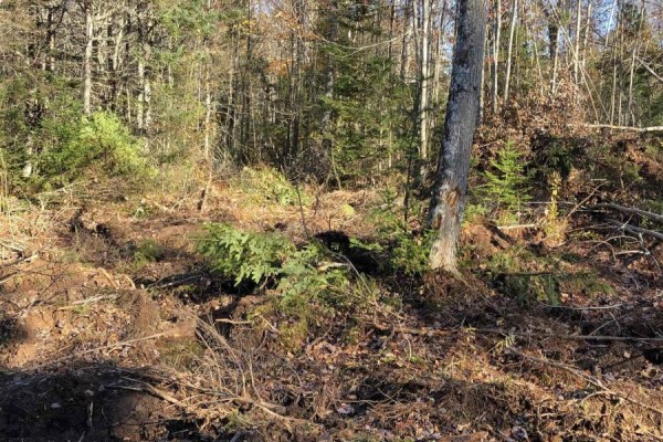 Lot 07-1 Highway 223, Big Beach, NS B1T1M2 Photo 4