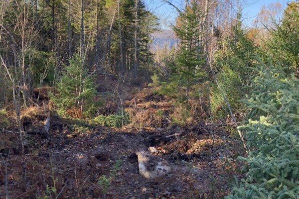 Lot 07-1 Highway 223, Big Beach, NS B1T1M2 Photo 5