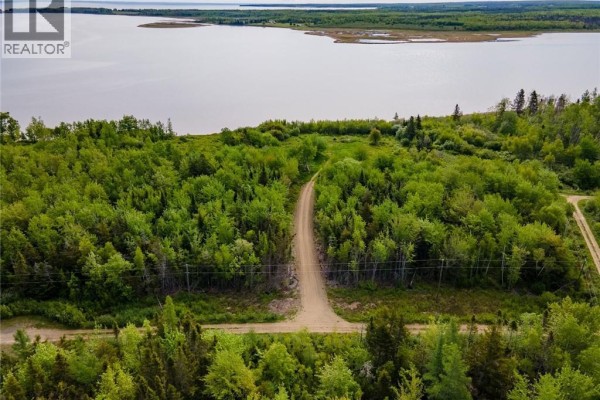 Dirt road winding through dense greenery, leading towards a body of water. - Lot 08-07 Sunrise Lane, Shemogue