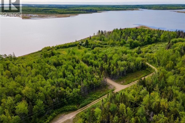 Aerial perspective of forested area with a road, overlooking a calm bay. - Lot 08-07 Sunrise Lane, Shemogue