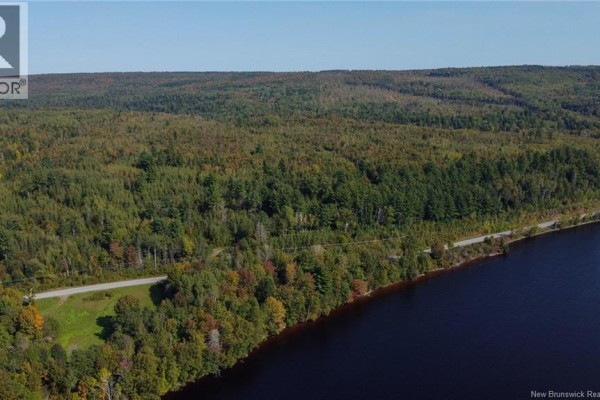 Aerial view of a tree-lined landscape with a road and body of water in autumn. - Lot 09-01 Route 105, Southampton