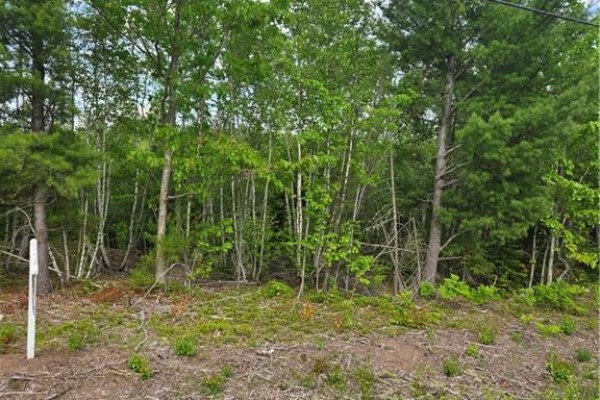 Lot 09-15 Route 105, Jemseg, NB E4C3K7 Photo 2