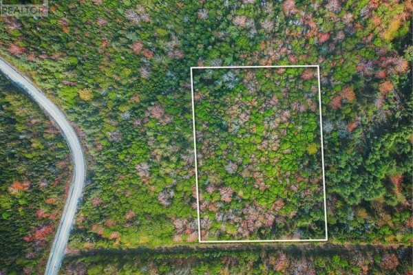 Lot 09-3 Hillsdale Road, Hillside, NS B0E1P0 Photo 4