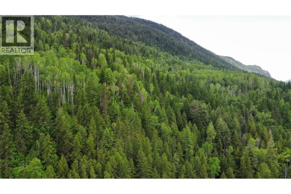 Arrow Lake 10 Lot Package Arrow Lakes Drive, Castlegar, BC V1N3N3 Photo 5