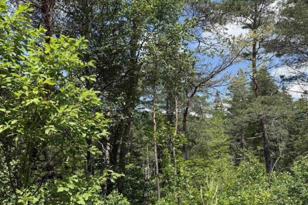 Lot 1 & 2 Whycocomagh Port Hood Rd. Soapstone Mine, Soapstone Mine, NS B0E3M0 Photo 3