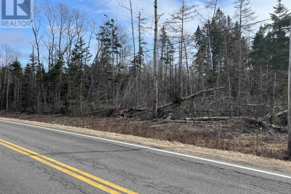 Lot 1-0 Scotsburn Road, West Branch, NS B0K1R0 Photo 3