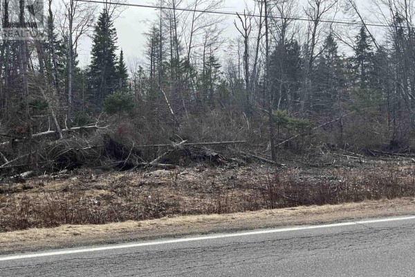 Lot 1-0 Scotsburn Road, West Branch, NS B0K1R0 Photo 4