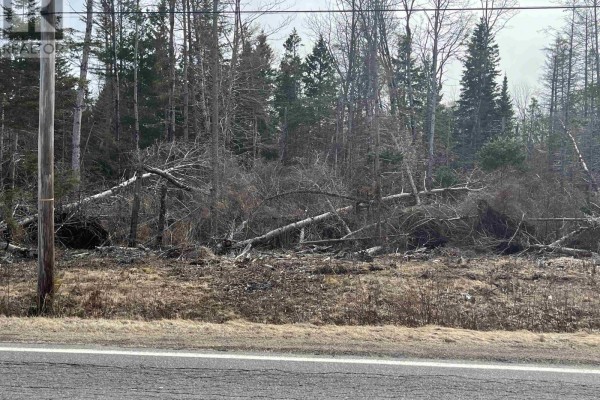 Lot 1-0 Scotsburn Road, West Branch, NS B0K1R0 Photo 5