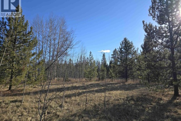 Lot 1 13th Avenue, Valemount, BC, photo 2