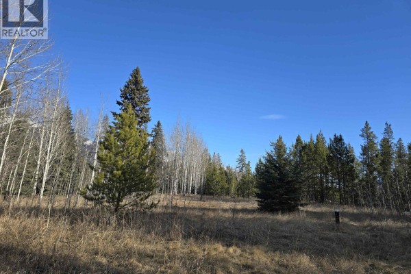 Lot 1 13th Avenue, Valemount, BC, photo 3