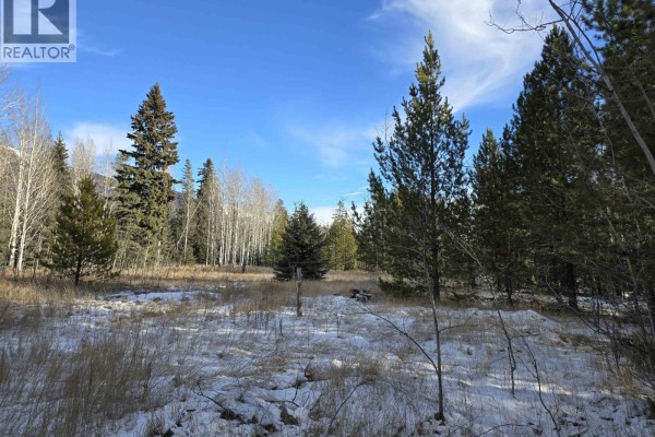 Lot 1 13th Avenue, Valemount, BC V0E2Z0 Photo 4