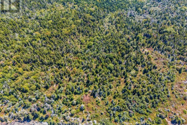 Lot 1 #217 Highway, Centreville, NS B0V1A0 Photo 4