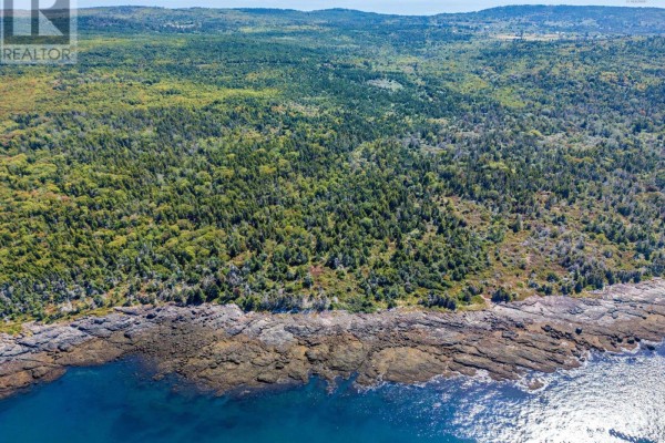 Lot 1 #217 Highway, Centreville, NS B0V1A0 Photo 5