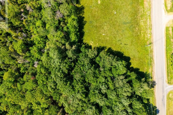 Lot 1 360 Highway, Garland, NS B0P1E0 Photo 3