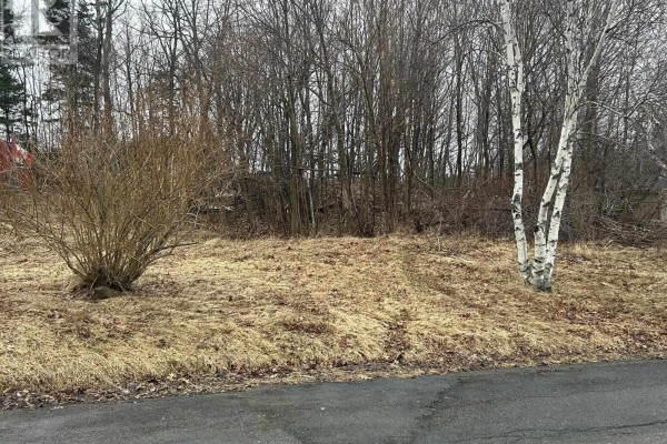 Lot 1 511 Birch Street, New Glasgow, NS B2H1Y2 Photo 2