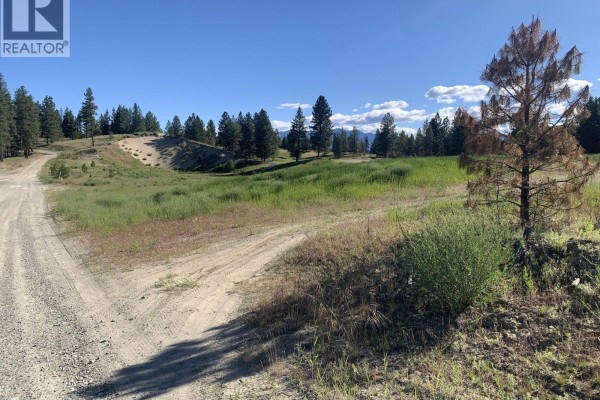 Gravel roads winding through a grassy, uneven landscape with scattered pine trees under a bright blue sky. - Lot 1 6145 Parnaby Road, Cranbrook