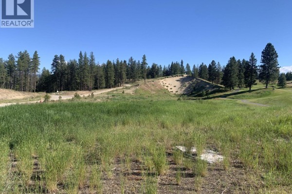 Expansive view of undeveloped land with tall grass, dirt mounds, and scattered pine trees under a clear blue sky. - Lot 1 6145 Parnaby Road, Cranbrook
