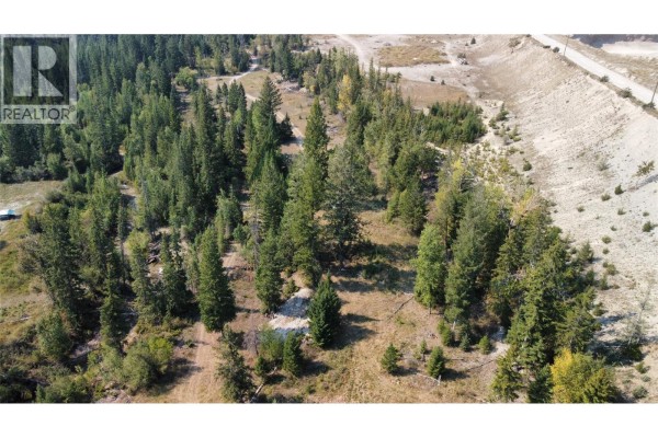 Lot 1 93/95 Highway, Windermere, BC V0B2L0 Photo 3