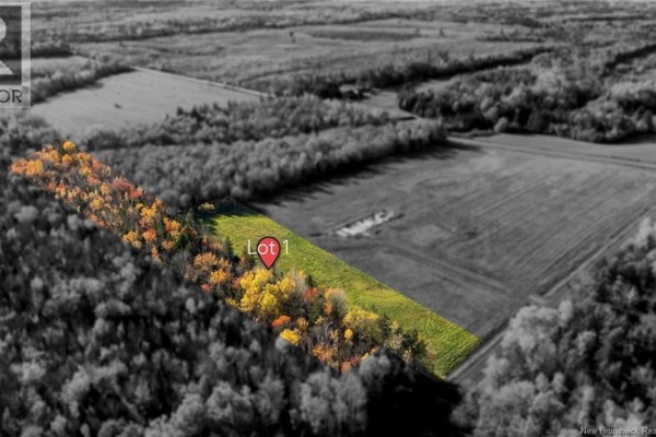 Lot 1 Bois Joli Road, Bouctouche, NB E4S2X1 Photo 3