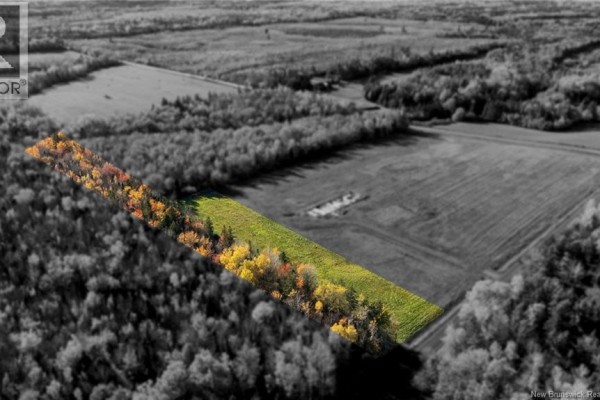 Lot 1 Bois Joli Road, Bouctouche, NB E4S2X1 Photo 4