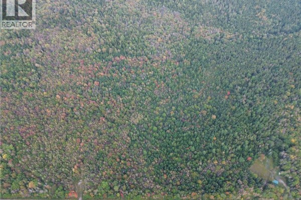 Lot 1 Bronson Sett Road, Bronson Settlement, NB, photo 3