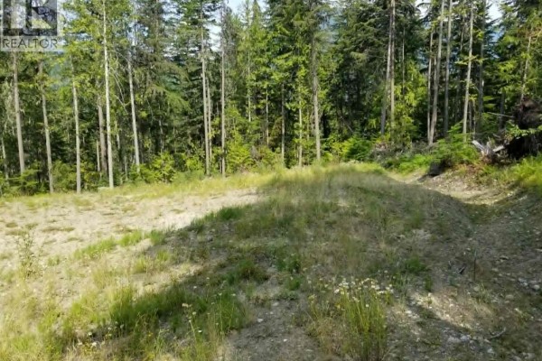 Lot 1 Brouse Loop Road, Nakusp, BC, photo 2